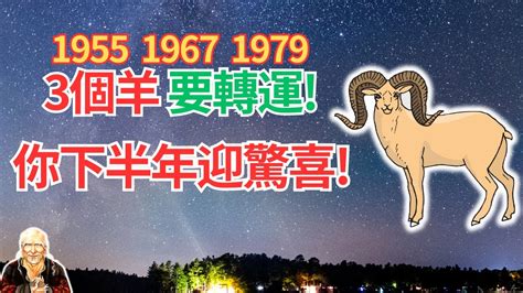 1979年羊|1979年出生的屬羊人一生的命運，慶幸看了！